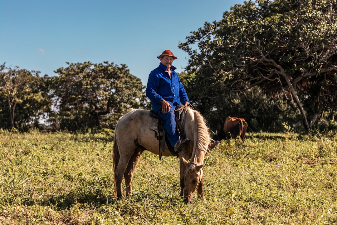 Produtor a cavalo no pasto